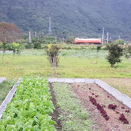 Taroko Formosa Homestay Xiulin Kültér fotó