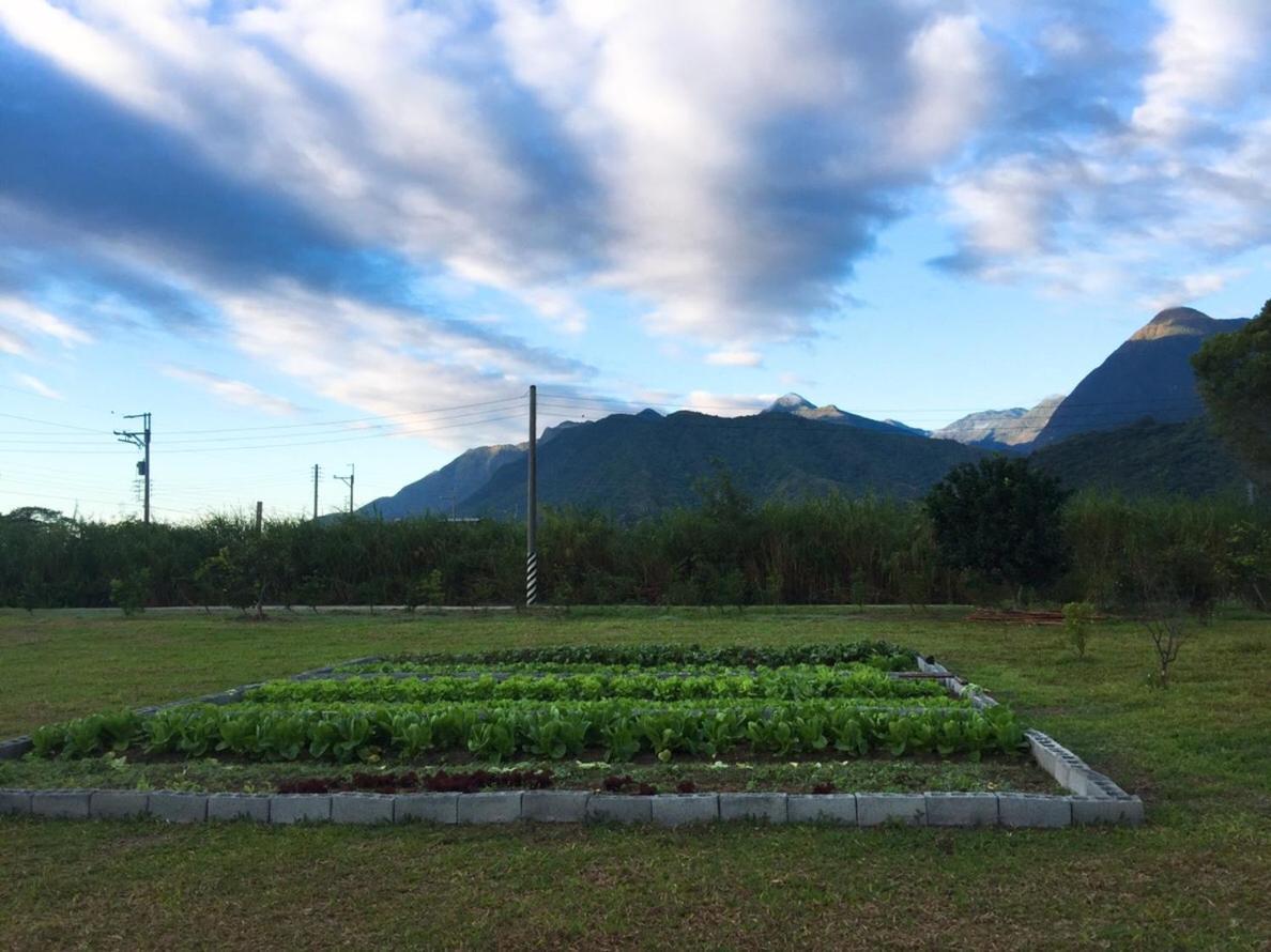 Taroko Formosa Homestay Xiulin Kültér fotó